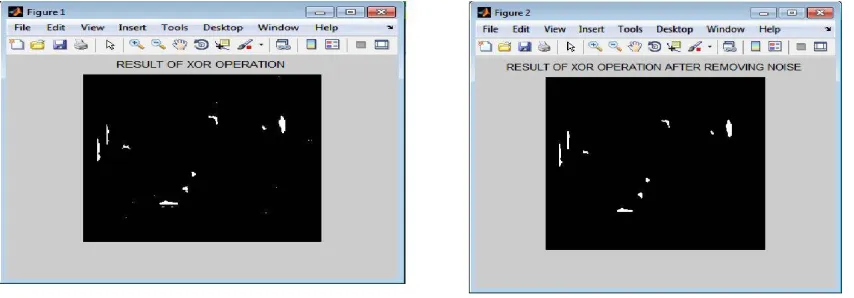 Fig.7 Resultant image after subtraction operation