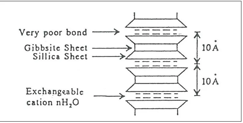 Figure 5 - Comparison of mineralogical structures of kaolinite and montmorillonite (Farris) 