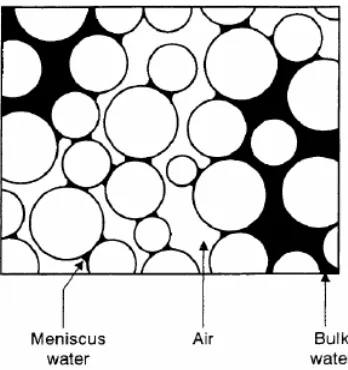 Figure 6 - Phase diagram showing soil particles and water in void space 