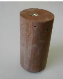 Figure 16 - Core shrinkage specimen 