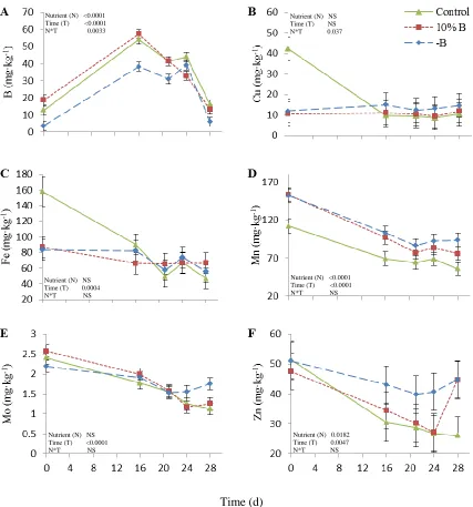 Fig. 7. Effect of nutrient regime (complete nutrient solution or nutrient solutions with either 10% or 0% B, but including all other nutrients at the same level as the complete solution) × rooting stage in time on shoot micronutrient concentration in Pelar
