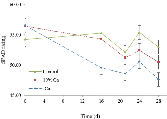 Fig. 9. Effect of nutrient regime (complete nutrient solution or nutrient solutions with either 10% or 0% Ca, but including all other nutrients at the same level as the complete solution) × rooting stage in time on SPAD ratings during expt