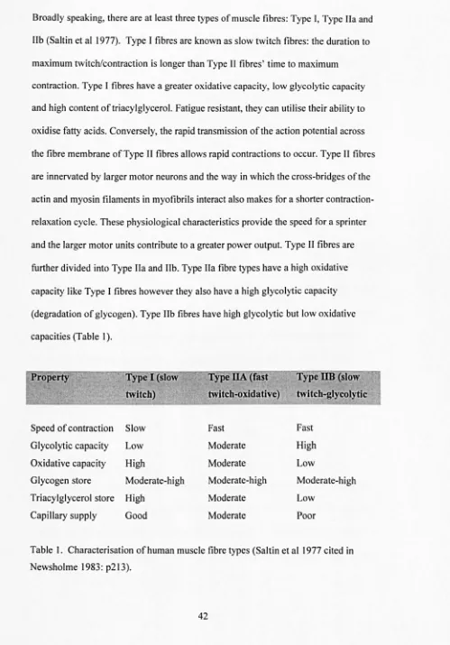 Table l. Characterisation of human muscle fibre types (Saltin et al 1977 cited in 