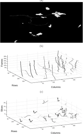 Fig. 3. Tracks of all neutrophils obtained from a sequence of 344 frames. (a) A singletracks denotes the velocity (dark - slow, light - fast)