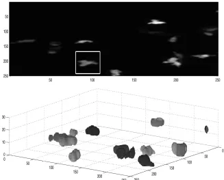 Fig. 1. (a) Maximum intensity projection of all slices, white box denotes a Region of