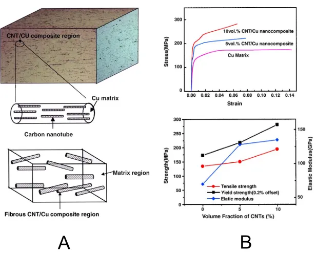 Fig.5. Microstructural