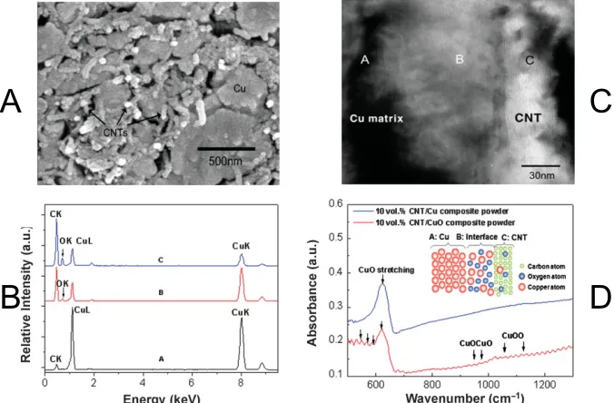 Figure 2.16 A) SEM image of CNT/Cu nanocomposites; B) EDX spectrum where the electron beam Figure 2