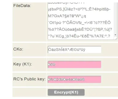 Fig.12 Partial key K0 encryption                                           Fig.13 Partial key K1 encryption 
