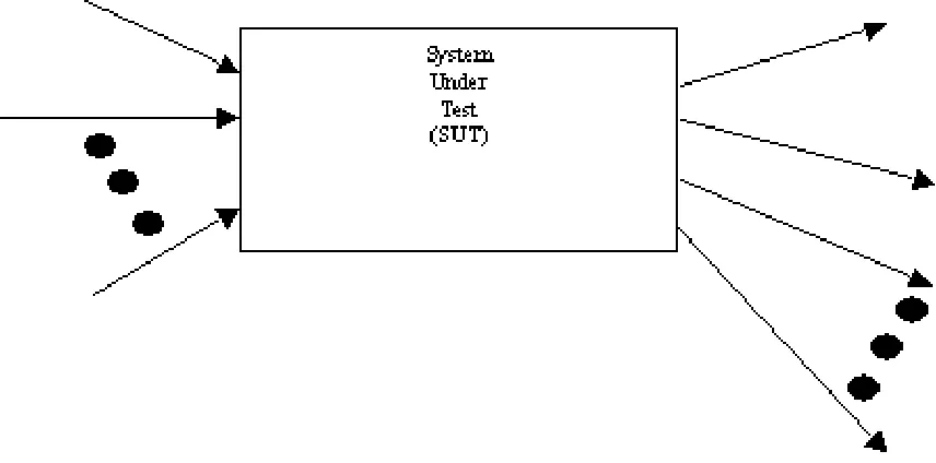 Figure 1.3: Example of a System with Many Inputs which can be Tested Simultaneously