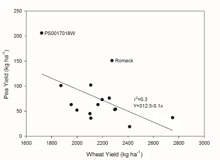 Figure 3. Effect of wheat yield (averaged over wheat maturity) on pea yield in mixture (averaged over wheat maturity)