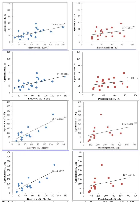 Fig. 2. Relationships between recovery, physiological and agronomic efficiencies (RE, PE and AE) of different nutrients in NPKMg trials on mature oil palm  