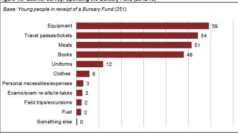 Figure 4.6  Learner survey: Spending the Bursary Fund (2012/13) 