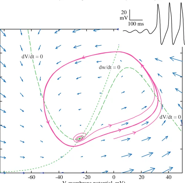 Fig. 7  Phase plane for the MLE with an external current I ext =95  µA/cm 2 . Two trajectories are shown, one beginning near the equilibrium point (green dot at the intersection of the nullclines) and the second beginning at (0,0.14)