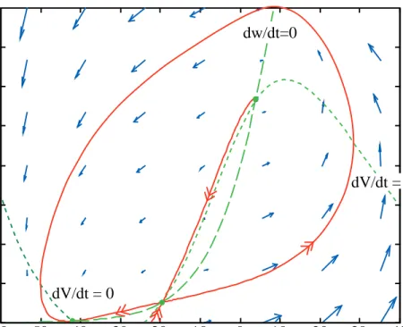 Figure 8 shows a phase plane for the MLE with the parameters of set
