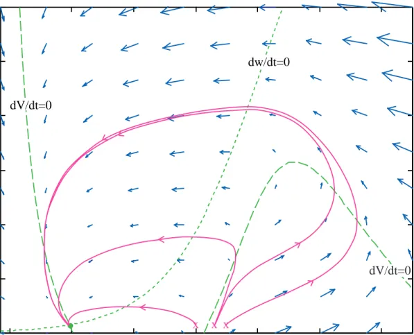 Fig. 5. Phase plane for the MLE with parameter set #1. The green dashed lines are the nullclines dw/dt=0 and dV/dt=0