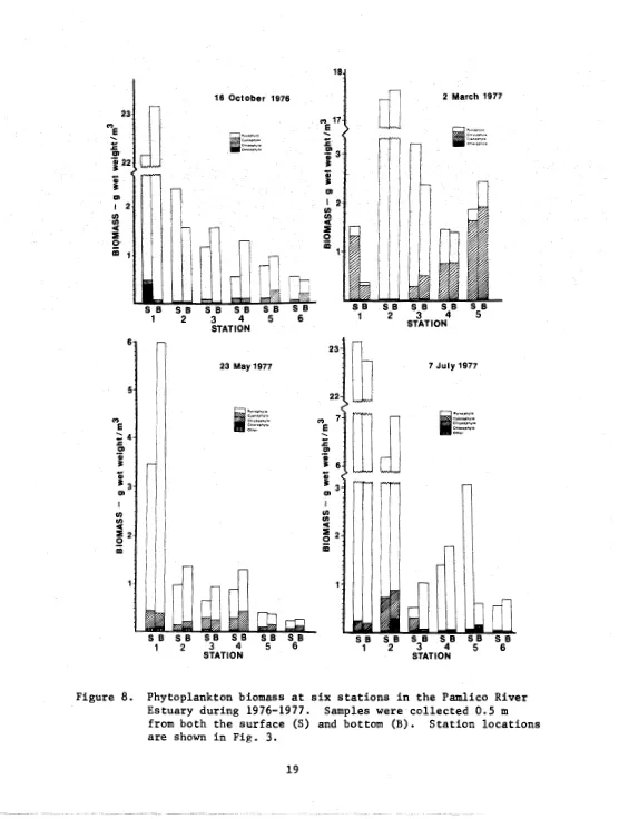 Figure 8. Phytoplankton biomass a t  s i x  stations i n  the Pamlico River Estuary during 1976-1977