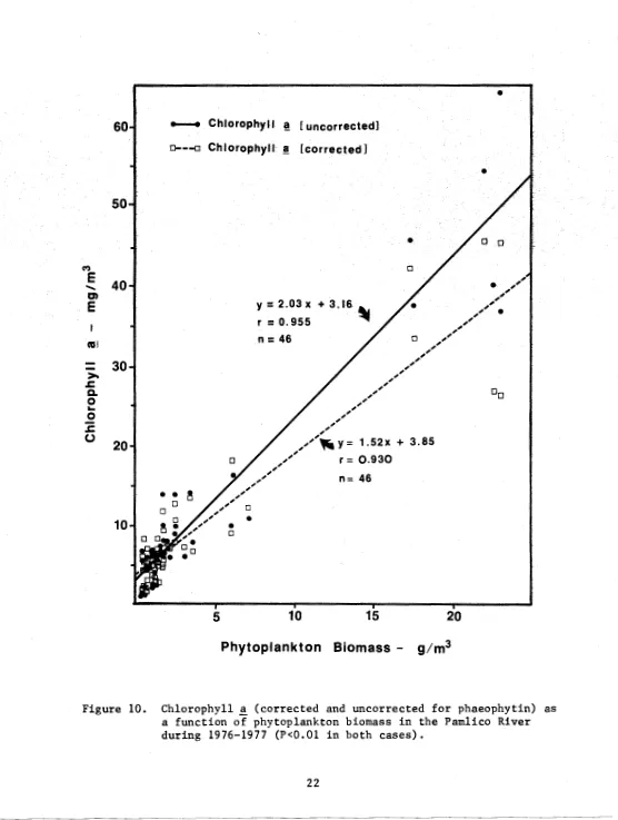 Figure 10. Chlorophyll a function of phytoplankton biomass in the Pamlico River a (corrected and uncorrected for phaeophytin) as during 1976-1977 (Pc0.01 in both cases)