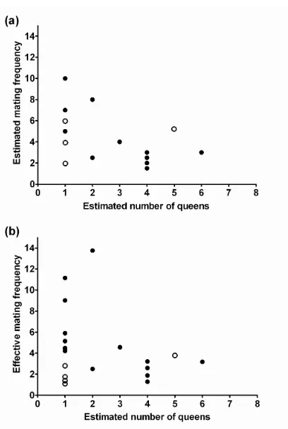 Fig. 4.4 The relationship across colonies of Myrmecia brevinoda between polygyny, measured as the 
