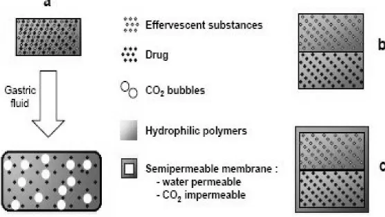 Fig 1.3 Gas generating system: Schematic monolayer drug delivery system(a) Bilayer gas generating system, with (c) or without (b)semipermeable membrane