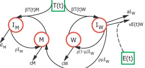 FIG. 1. Schematic representation of the model used to describe thewithin-host dynamics of viral epitope escape due to selection pressure