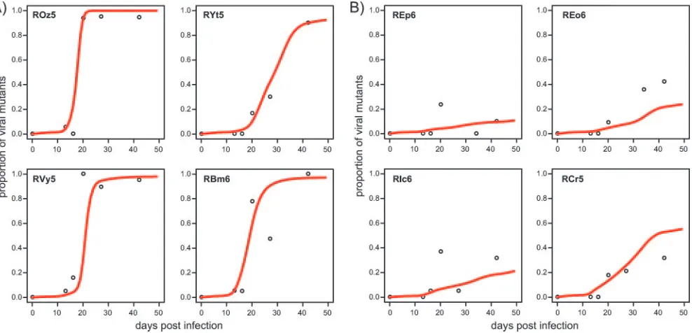 FIG. 4. Model ﬁts to the frequency of Tat SL8 escape mutants in (A) control animals, for which � �to 0.0197 0.0161 �l cell�1 day�1 (95% CI, 0.005 �l cell�1 day�1), and (B) CS blockade animals, for which � � 0.0145 �l cell�1 day�1 (95% CI, 0.0107 to 0.0176 �l cell�1 day�1).