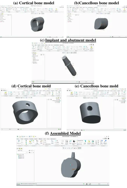 Fig 2: Generation of virtual geometric model 