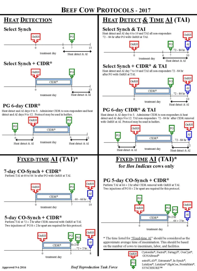 Figure 1.1. Estrus synchronization and AI protocols for beef cows as recommended by the Beef  Reproductive Task Force, 2017 