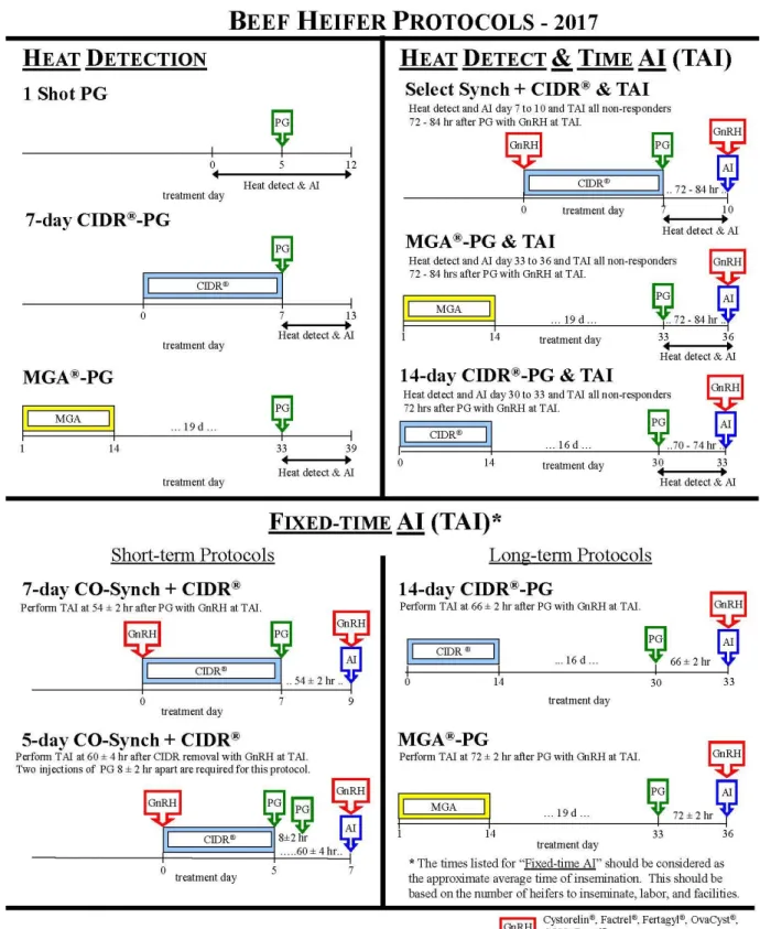 Figure 1.2. Estrus synchronization and AI protocols for beef heifers as recommended by the Beef  Reproductive Task Force, 2017 