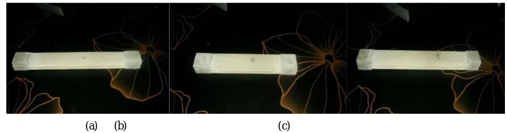 Table 02.Test Specimen Results   