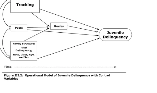 Figure III.2:  Operational Model of Juvenile Delinquency with Control Variables
