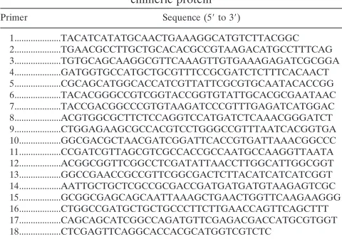 TABLE 1. Primers used to generate the WNV-DENV2 DIII-lrchimeric protein