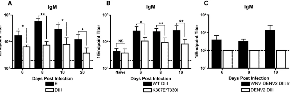TABLE 2. Binding afﬁnities of WNV MAbs to wild-type and WNV-DENV2 DIII-lr proteins