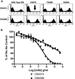 FIG. 5. Human MAbs recognize DIII-lr epitope. (A) Flow cytometry histograms of human MAbs binding to yeast expressing wild-type andmutant DIII