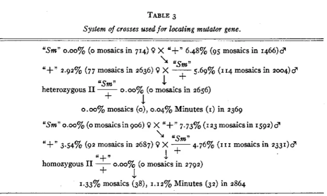 TABLE 3 