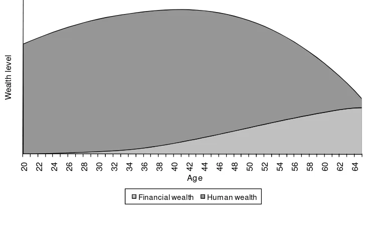 Figure 3: Financial and human wealth over the lifecycle up to retirement 