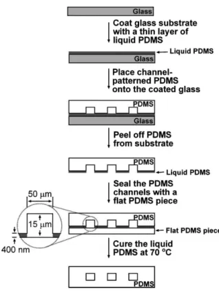 Fig. 2 shows optical images of two typical microchannels formed in this manner. A razor blade was used to cut through the channels so that their cross section could be examined under a microscope