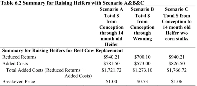 Table 6.1 Summary for Raising Heifers with Scenario A&amp;B 