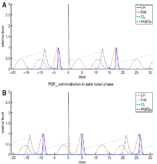 Figure 2. Computer simulation results showing the impact of PG injection on  d 0 at 2 different stages of the estrous cycle