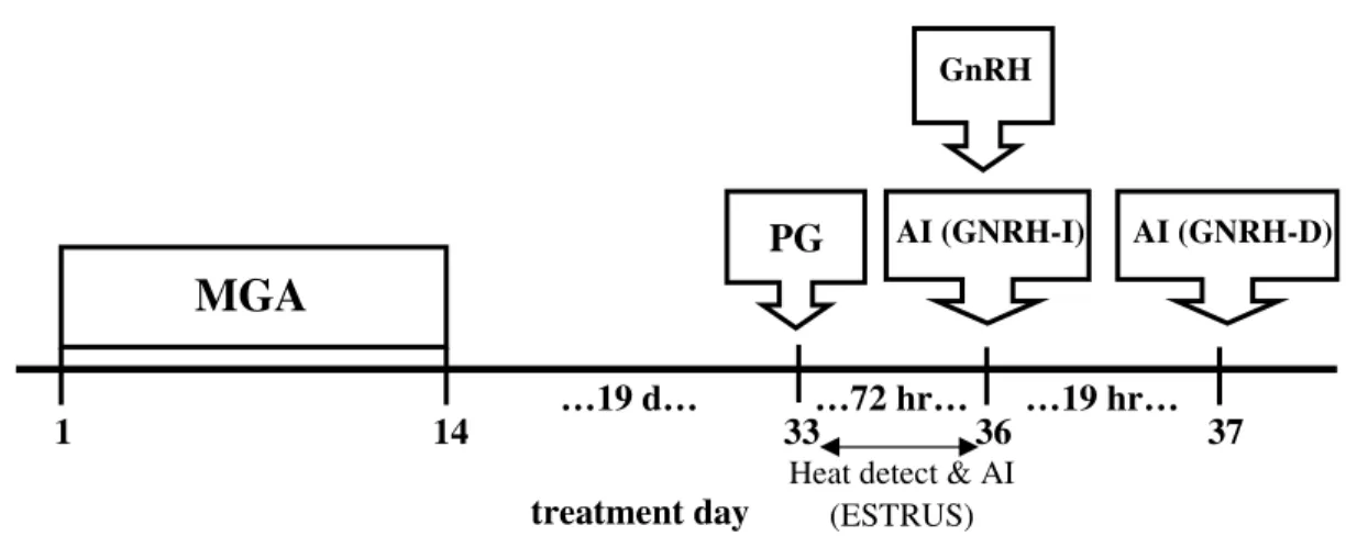 Figure 1. Modified MGA-PG estrus synchronization protocol utilized to  compare AI at estrus (ESTRUS), at GnRH injection (GNRH-I), and AI 12 h  following GnRH injection (GNRH-D)
