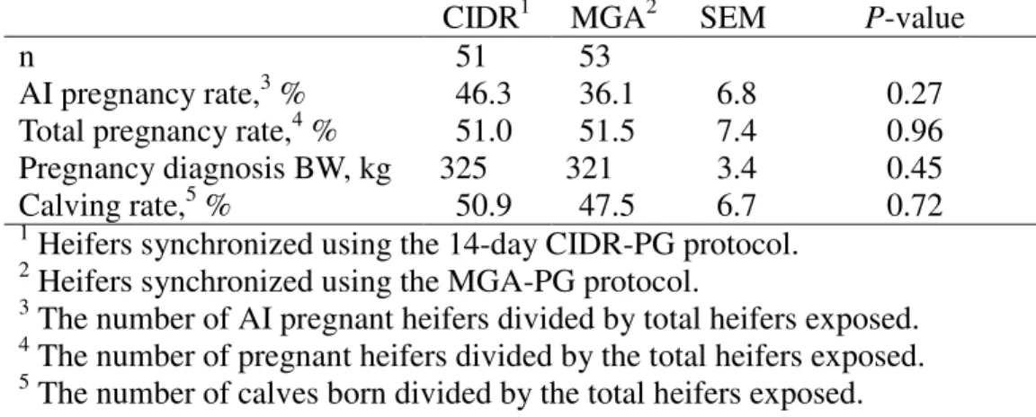 Table 3. Effect of CIDR or MGA estrus synchronization on reproductive  performance of 311 d old heifers 