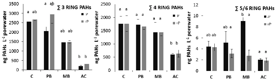Fig. 1 Porewater concentrations of PAHs in planted (+P) and unplanted (-P) contaminated soil with 