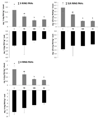 Fig. 2 PAH concentrations in shoots and roots of maize plants growing contaminated soils with 
