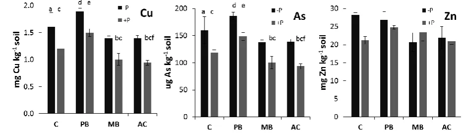 Fig. 4 Ammonium sulphate-extractable Cu, As and Zn in planted (+P) and unplanted (-P) 
