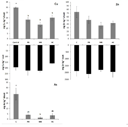 Fig. 5 Cu, As and Zn concentrations in shoots and roots (insufficient sample for root As analysis) of 
