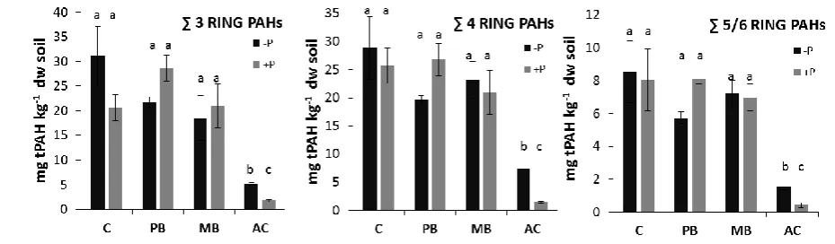 Fig. S1 Hexane-acetone extractable concentrations of PAHs in planted (+P) and unplanted (-P) 