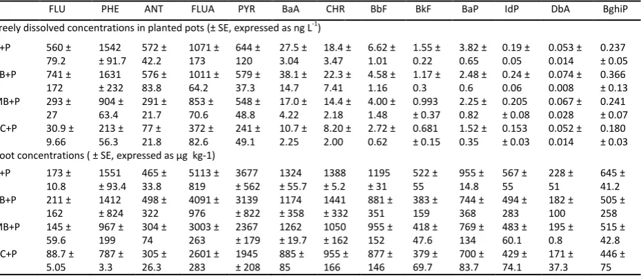 Table S1 Averaged values for individual PAH compounds in porewater (POM) and roots (n=3-4 POM, 