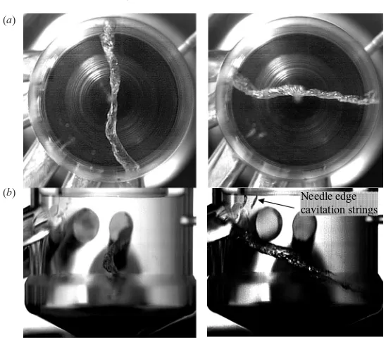 Figure 2. Typical image of string cavitation formed inside the nozzle volume at two diﬀerentRetime instances with �τ ∼ 100 (a) bottom view and (b) side view (nominal needle lift, CN = 4.0, = 68 000).