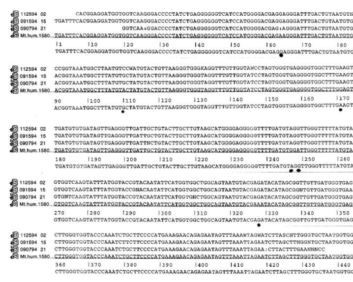 Fig. 2. Three DNA sequences determined from: the HV1 PCR fragment cloned in M13 as clone JT3 (line 1), the HV1 PCR fragment sequenced directly using the H strand primer (the complement of this sequence is presented in Fig