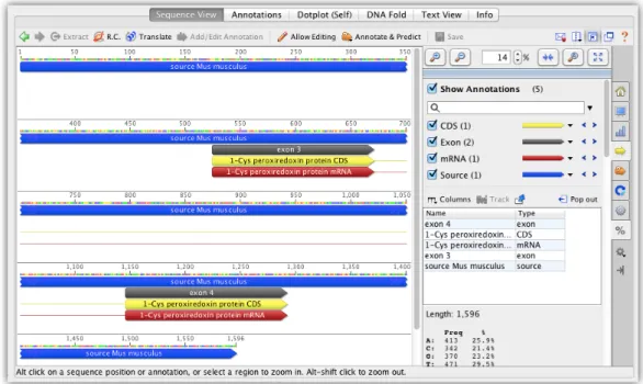 Figure 3.1: A view of an annotated nucleotide sequence in Geneious 3.2.1 Zoom level