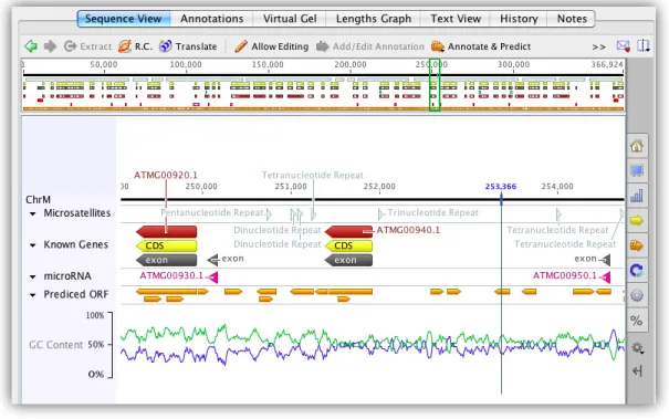 Figure 3.2: The minimap and sequence view, of a chromosome with gene and variation anno- anno-tations, under the genome viewer configuration